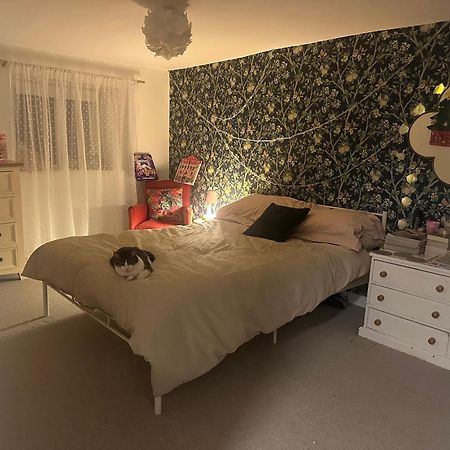 Gem Cottage 伊尔明顿 外观 照片